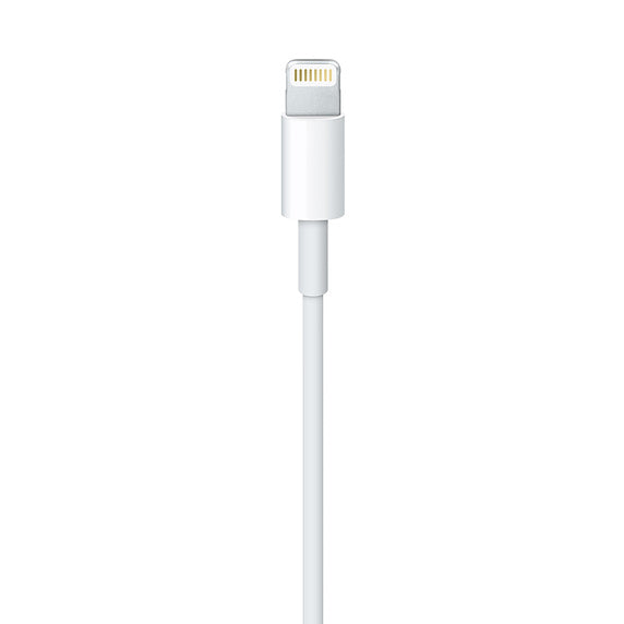Apple Lightning to USB Cable (1m) (non pack)